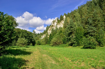 Fototapeta na wymiar Sunny summer landscape. Beautiful green Jurassic valley in Poland.