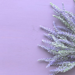 Lavender flower on purple wooden background.