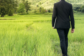 Young businessman Pointing Height Destination to Future in the Green Wheat field Searching for the New Startup Opportunities. National Bureau of Agricultural Commodity and Food Standards Concept.