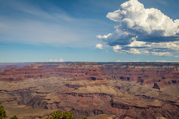 Fototapeta na wymiar Grand Canyon National Park