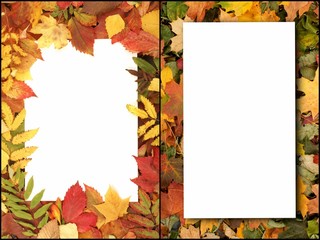 Naklejka na ściany i meble Seasonal autumn background of colorful leaves. Collage collection.
