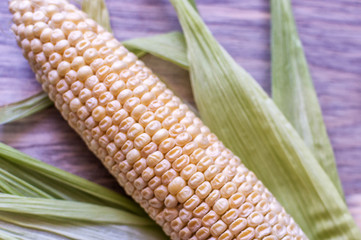 corn close up