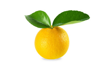 fresh single orange with leaf isolated on white