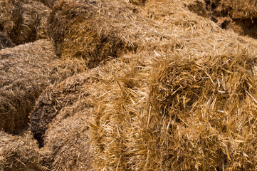 Closeup of hay bales in a village.