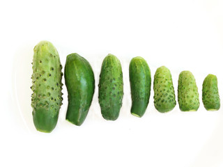 cucumbers isolated on the white background
