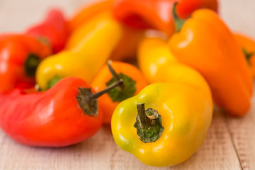 Colorful Mini Sweet Bell Peppers Close Up