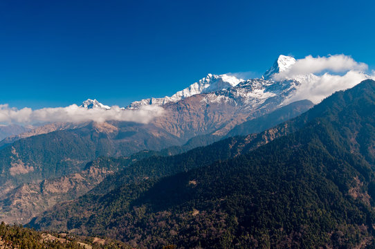 View of Fish Tail mountain or also know as Machapuchare in the Annapurna Himalayas of north central Nepal. It is revered by the local population as particularly sacred to the god Shiva.