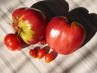 duże czerwone pomidory i małe