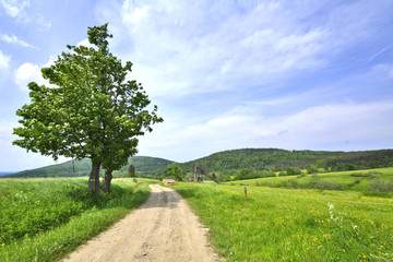 Fototapeta na wymiar Country road in rural landscape of Beskid Niski, Regietow, Poland