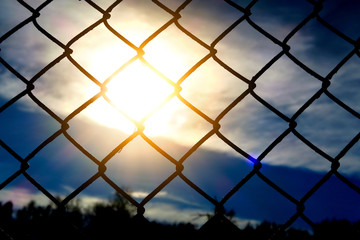 Fototapeta premium Wire Netting at Sunset