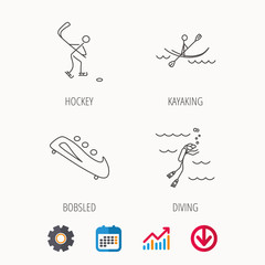 Ice hockey, diving and kayaking icons.