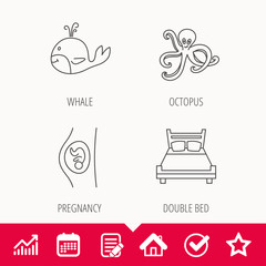 Fototapeta premium Whale, octopus and double bed icons.