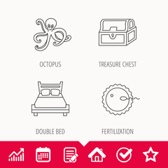 Fertilization, double bed and octopus icons.