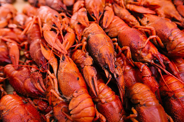 Big red boiled crawfish to beer