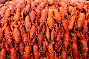Red crayfish on the counter