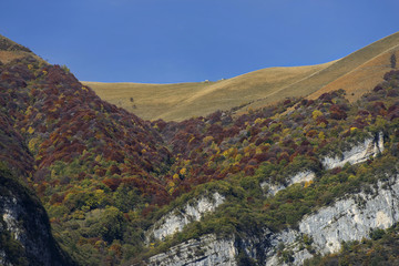 Autumn; trees changing colors.