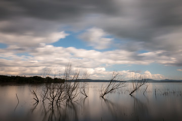 Fototapeta premium Long exposure photo of a lake, with trees and branches coming out of still water, and a beautiful sky with moving clouds