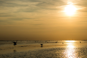 Sonnenuntergang an der Nordsee