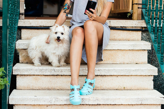 Legs of woman sitting on a staircase, with her dog