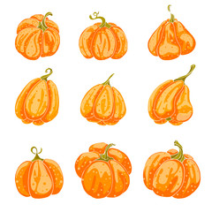 Set of pumpkins of different shapes to color. Vector