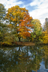 Autumn; a small lake in Lombardy.
