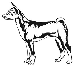 Obraz premium Decorative standing portrait of Basenji vector illustration