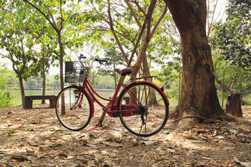 Fototapeta na wymiar Travel to Bangkok, Thailand. A bicycle on the dry autumn leaves in a park near to a lake.