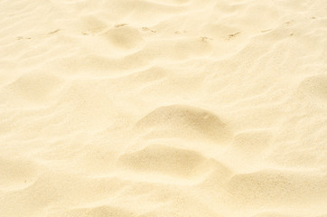 Fototapeta na wymiar Traces in the sand, yellow sand on the beach over the ocean, seaside spot