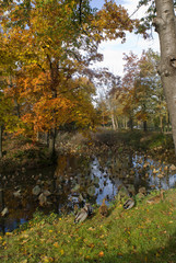 Autumn; small lake and ducks.