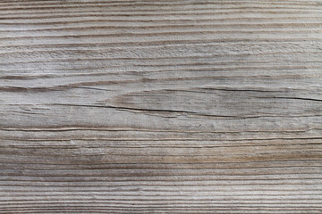 Fototapeta premium wooden texture