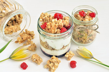 Greek yogurt with dried cherry