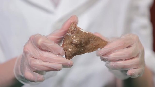 Bright grey ruby crystal ore in hands with gloves. Crystallization is the natural or artificial process by which a solid forms in laboratory.