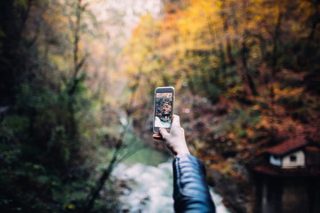 woman taking picture in the forest