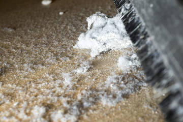 dust dirt and crumbles on the hardwood floor