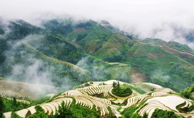 Outdoor kussens Foggy mystical rice terrace landscape in Longsheng, China © creativefamily