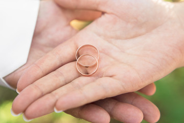 Обручальные кольца на ладони жениха и невесты