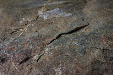 A Stone Surface