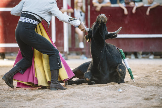 Corrida. Matador Fighting in a typical Spanish Bullfight