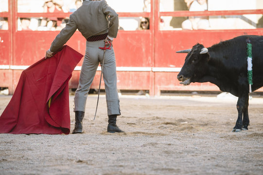 Corrida. Matador Fighting in a typical Spanish Bullfight