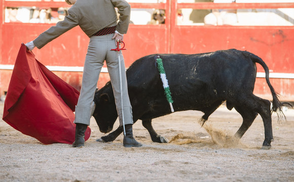 Corrida. Matador Fighting in a typical Spanish Bullfight