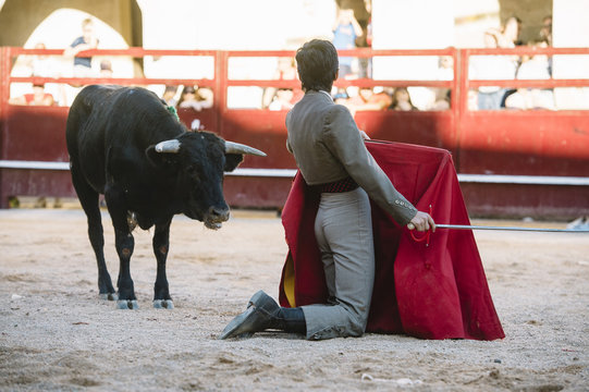 Corrida. Matador Fighting in a typical Spanish Bullfight