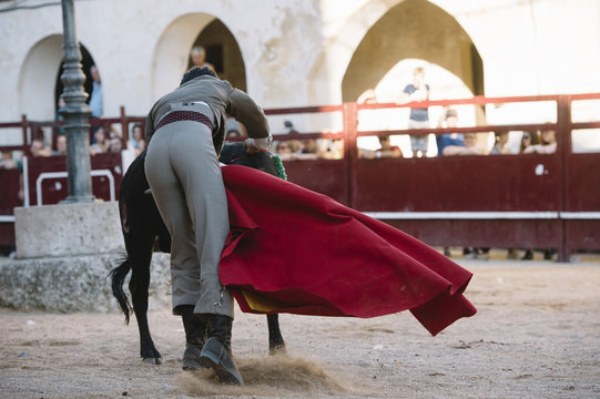 Corrida. Matador Fighting in a typical Spanish Bullfight