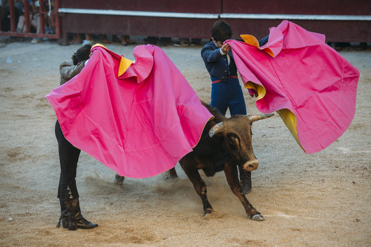 Corrida. Matador Fighting in a typical Spanish Bullfight