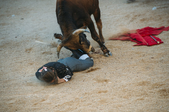 Accident. Matador woman Fighting in a typical Spanish Bullfight