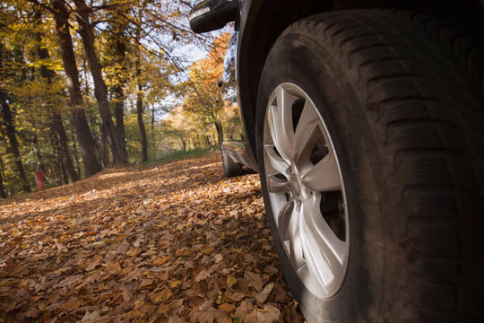 Picture of wheel of car parked in forest