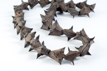 Amulet from the seeds of water chestnut