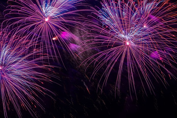 Close-up of vivid purple fireworks with sparks. Explosive pyrotechnic devices for aesthetic and...