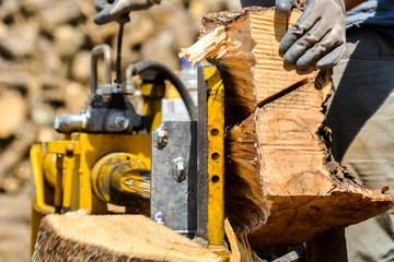 cutting woods in logs