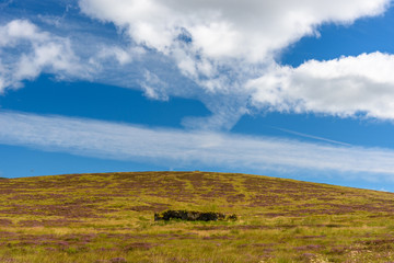 Fototapeta premium View of Cairgorms National Park