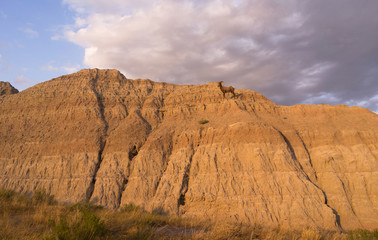 Wild Animal High Desert Bighorn Sheep Male Ram Badlands Dakota